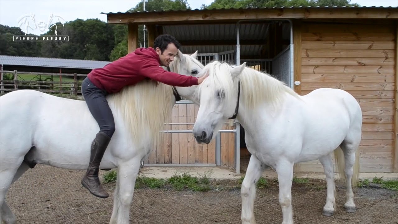 Pierre Fleury recommande l'Ecurie Active