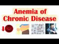 Anemia of Chronic Disease | Causes, Pathophysiology, Signs & Symptoms, Diagnosis, Treatment