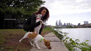 Rittenhouse Romp with 6ABC s Jessica Boyington