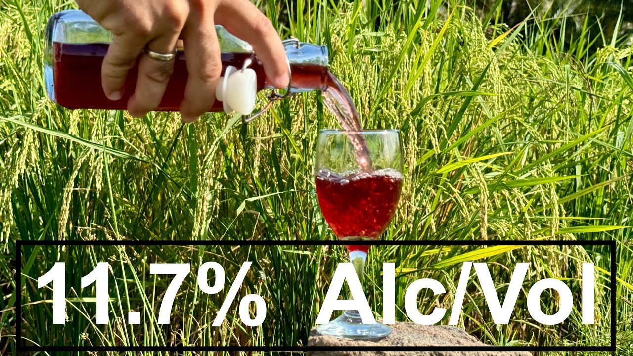 Homemade RICE WINE with 11.7% of ALCOHOL - YouTube