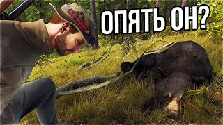 Way of the Hunter - Киберспортивный охотник на медведей, Прохождение сюжета