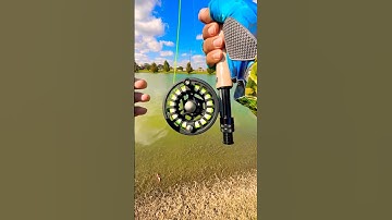 Tips Using A fly Rod for fly fishing#fishing#tips#fish#shortvideo#shorts#short#viral#youtube#bass
