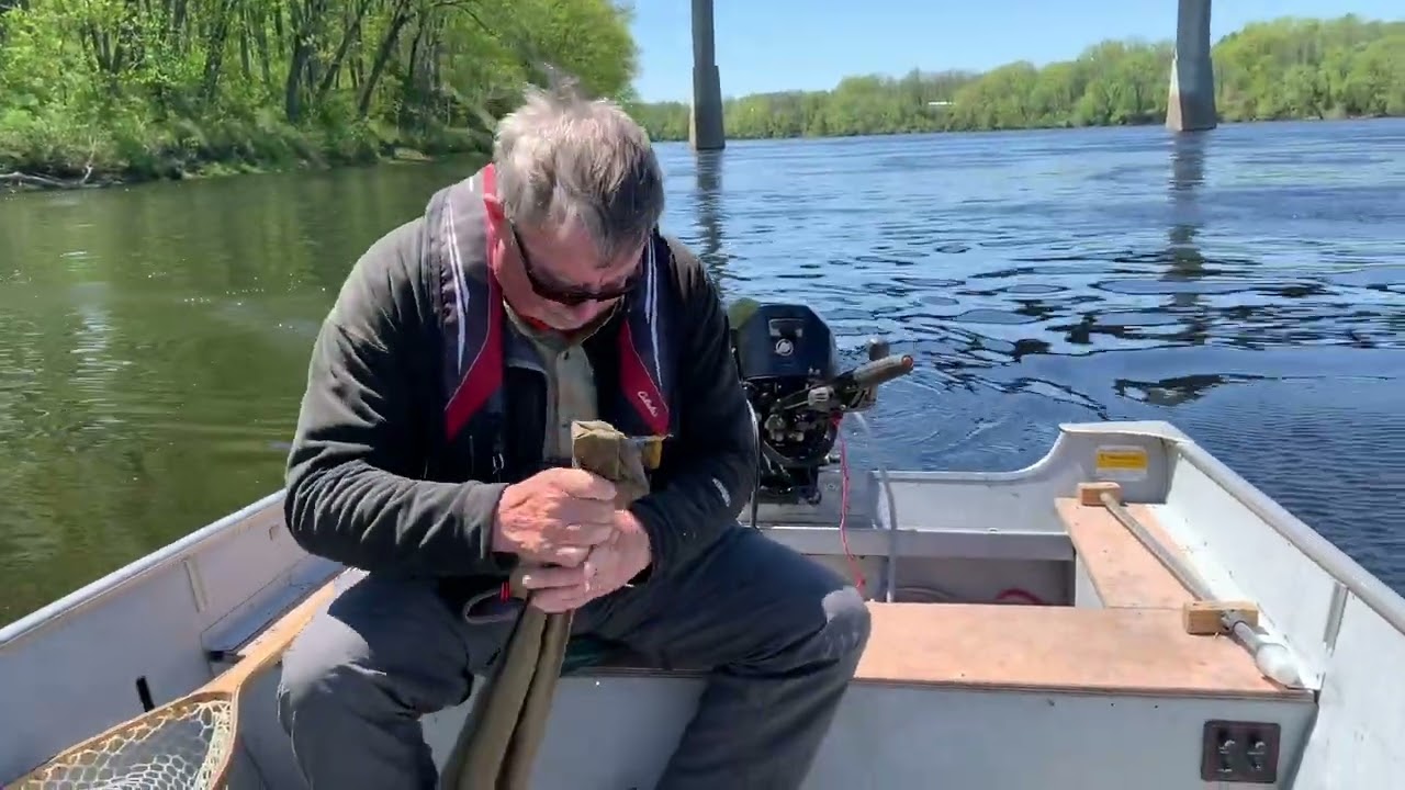 Fishing for shad on the Kennebec River YouTube