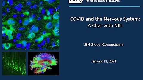 COVID + the Nervous System: A Conversation with NI...