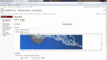 D2L Adding Text, Picture and Link to a News Item