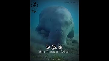 سبحان الله Surah Luqman سورة لقمان Haitham Dukhan هيثم دخان 🌸