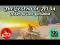 Tears of the Kingdom - Link the Fashionista! (+Echoes of Wisdom New Trailer Discussion) - Part 22