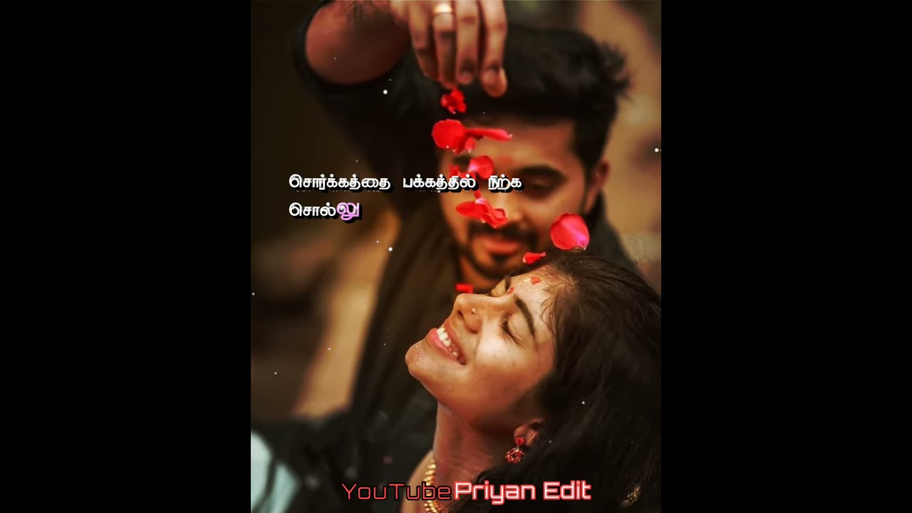 Vanathu Nilaveduthu Vaasalil Vaikattuma Song   Priyan Edit  Tamil WhatsApp status video