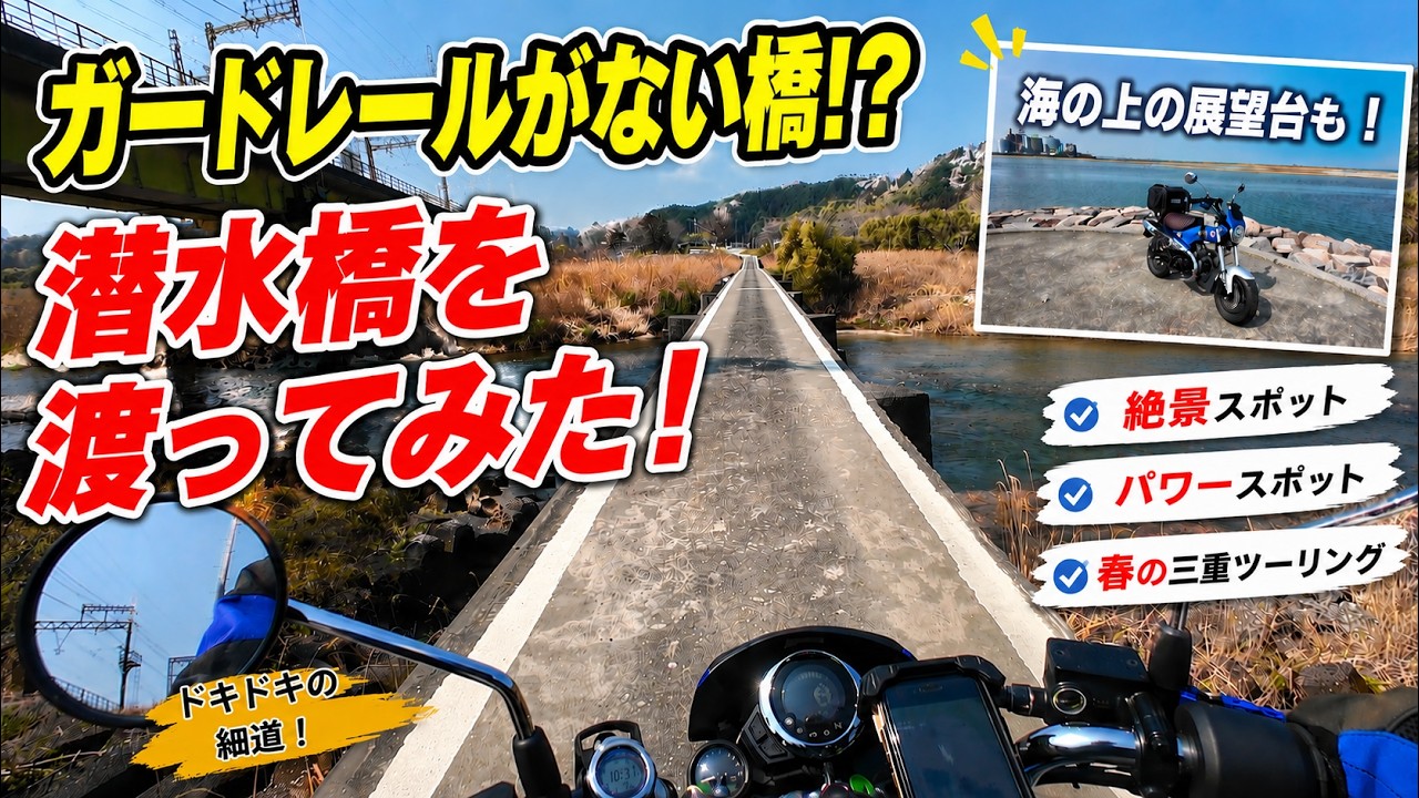 樹の上の散歩 Dachshund Walk] I Found an Amazing Spot! An Observatory Over the