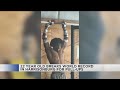 22-year-old Valley man breaks Guiness record for most pull-ups in 24 hours