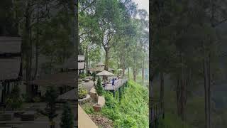 Sapo Juma tongging, best view danau toba #yesilidya #shortvideo