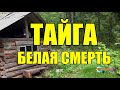 БЕЛАЯ СМЕРТЬ | ТАЙГА