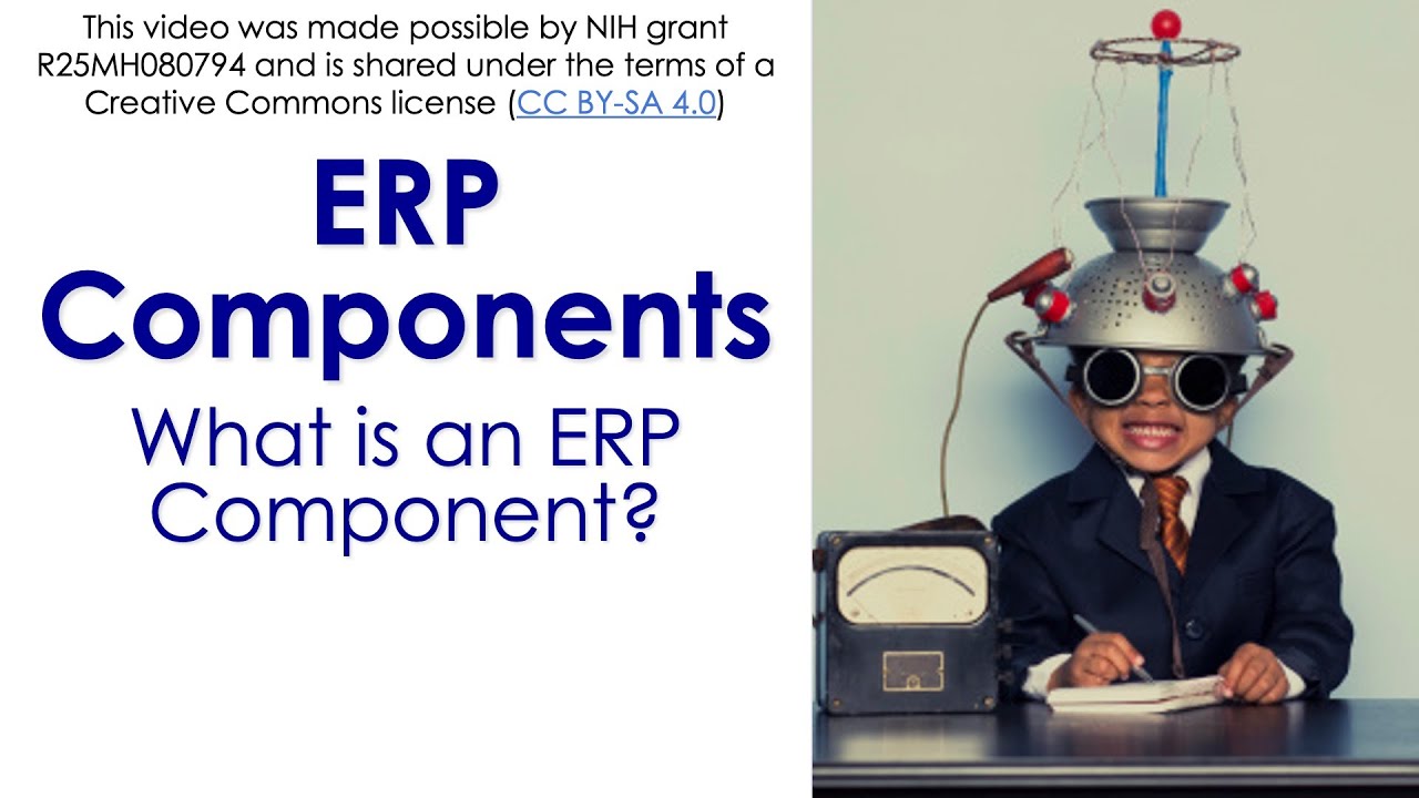 ERP Components 1 What is an ERP Component YouTube