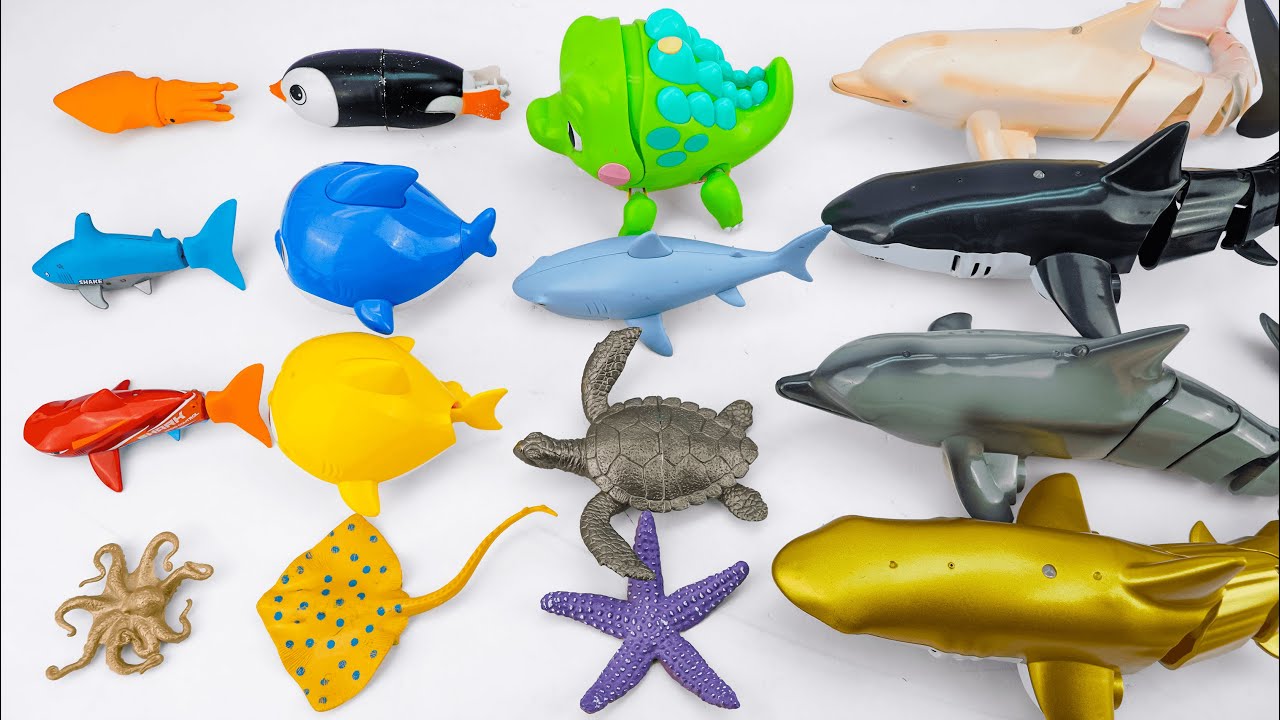 [🐟Toy ASMR🐋] Dolphin & Shark & Sea Animal Toys | From Mini to Giant | Satisfying Unboxing