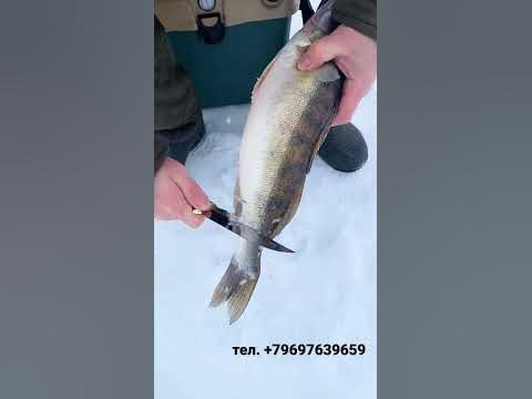 Лучший рыбацкий нож - YouTube
