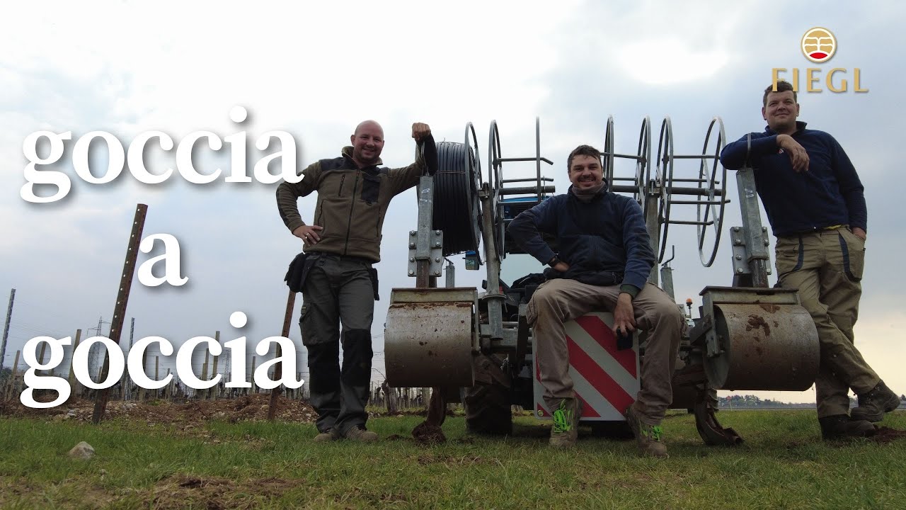 Creare un impianto di irrigazione di un vigneto | Interramento dell'ala gocciolante