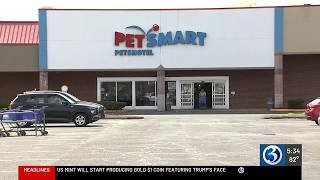 East Hartford family says dog came home without tail after PetSmart grooming visit