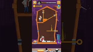 Home Pin Level 397