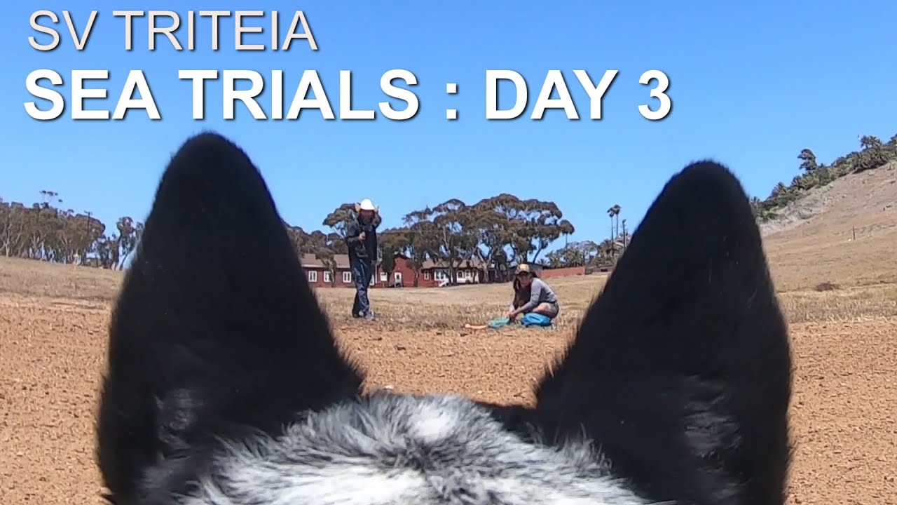 Mister Steady tries out the DOG CAM on Catalina and We Almost Lose the Windvane Rudder : Day 3