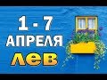 ЛЕВ  неделя с 1 по 7 апреля. Таро прогноз гадание