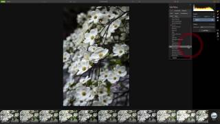 The Orton Technique screenshot 5