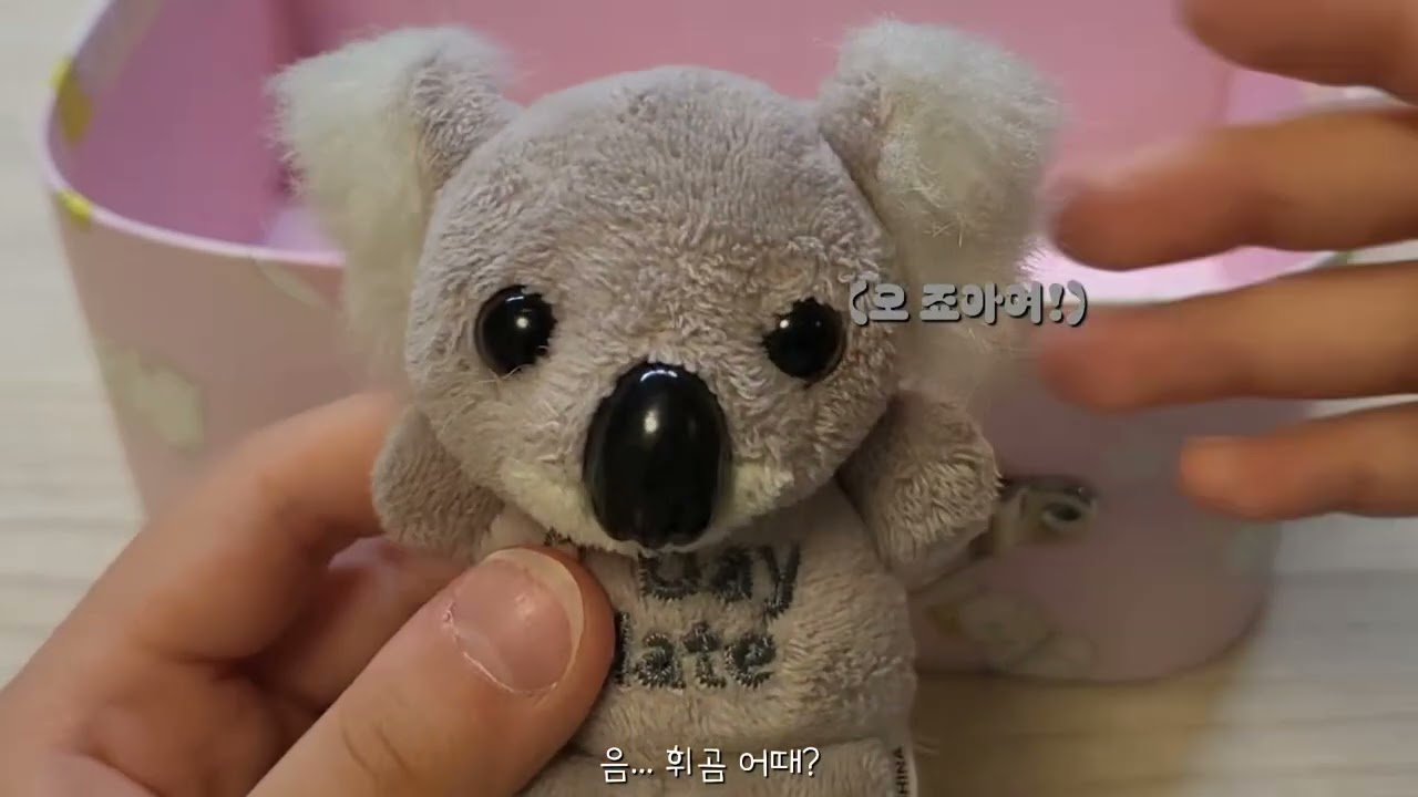 코알라 입양브이로그🐨#인형계 #코알라 #입양 #브이로그 #안보면후회할수도 #귀여운 #구독해주세여 #추천 