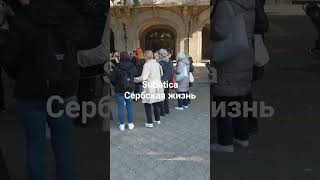 Сербская жизнь. #русскиевсербии #эмиграцияизроссии #жизньзаграницей