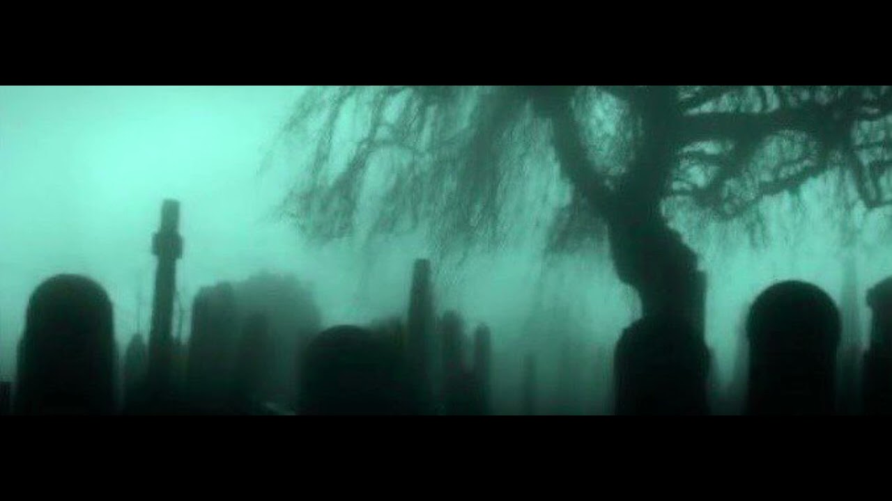 Where Have You Been Tiktok Version