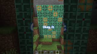 CRAZY Map Arts 🙃IN Vanilla Minecraft! (cred to @IggoMC for original vid)