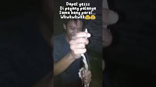 Nangkep Ular Dalam Kamar Mandi.. Negeri Ngeri Lucu.. Wkwkwkwk