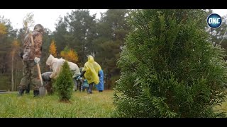 видео: События 28 октября 2025 года / Президент / Субботник /  Воркаут площадка / картинка: События 28 октября 2025 года / Президент / Субботник /  Воркаут площадка /