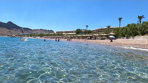 Kde se vysévají trávníky během vegetace?