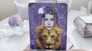 How Do They Feel Timeless Tarot Reading 💝 @auntyflo