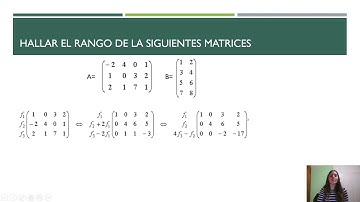 RANGO, VARIABLES PIVOTES Y VARIABLES LIBRES.