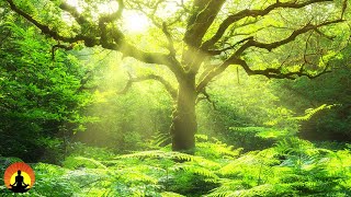 🔴 Relaxing Music 24/7, Sleep Music, Stress Relief Music, Spa, Meditation, Yoga, Zen, Sleeping Music