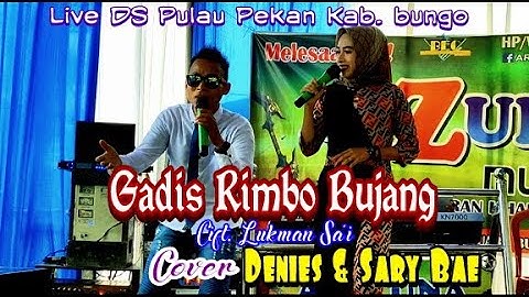 Lagu Jambi - Gadis Rimbo Bujang - Denies & Sary bae - Official Video Music Amran Arzuna