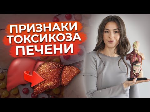 ТОП-7 признаков отравленной печени / Токсическая нагрузка на печень