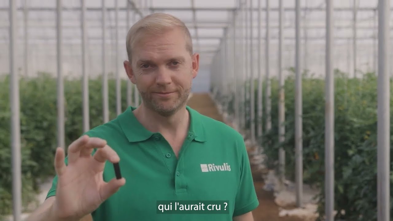 Rivulis D5000 ND : irrigation précise et performances optimales dans les applications hors-sol