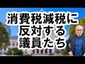 【与党・野党 消費税減税に反対する議員たち】#消費税減税 #消費税廃止 #消費税