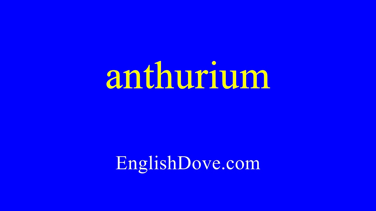 How to pronounce anthurium in American English.