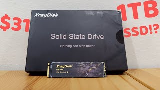 XrayDisk 1TB Pro Review