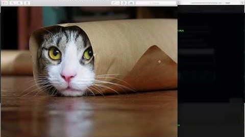 ipfs/libp2p circuit relay in the browser