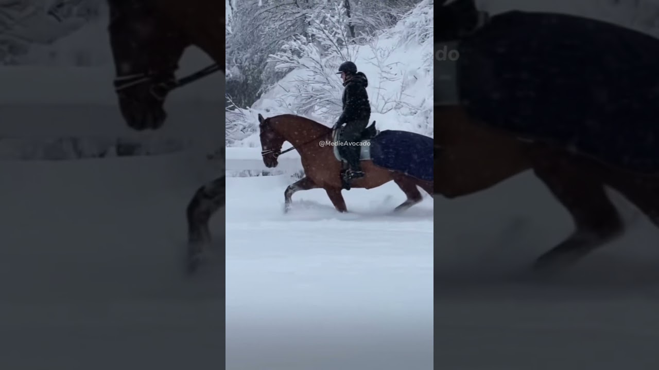 Adventskalender Tag 22🎄