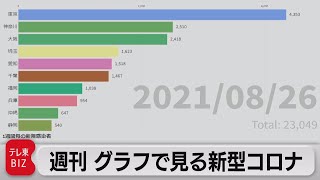 週刊 グラフで見る新型コロナ（2021年8月27日）