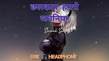 छलकता हमरो जवनिया।Chalakata Hamro Jawaniya|#Pawan Singh Slowed Reverb Slowed Season USE 🎧 HEADPHONE