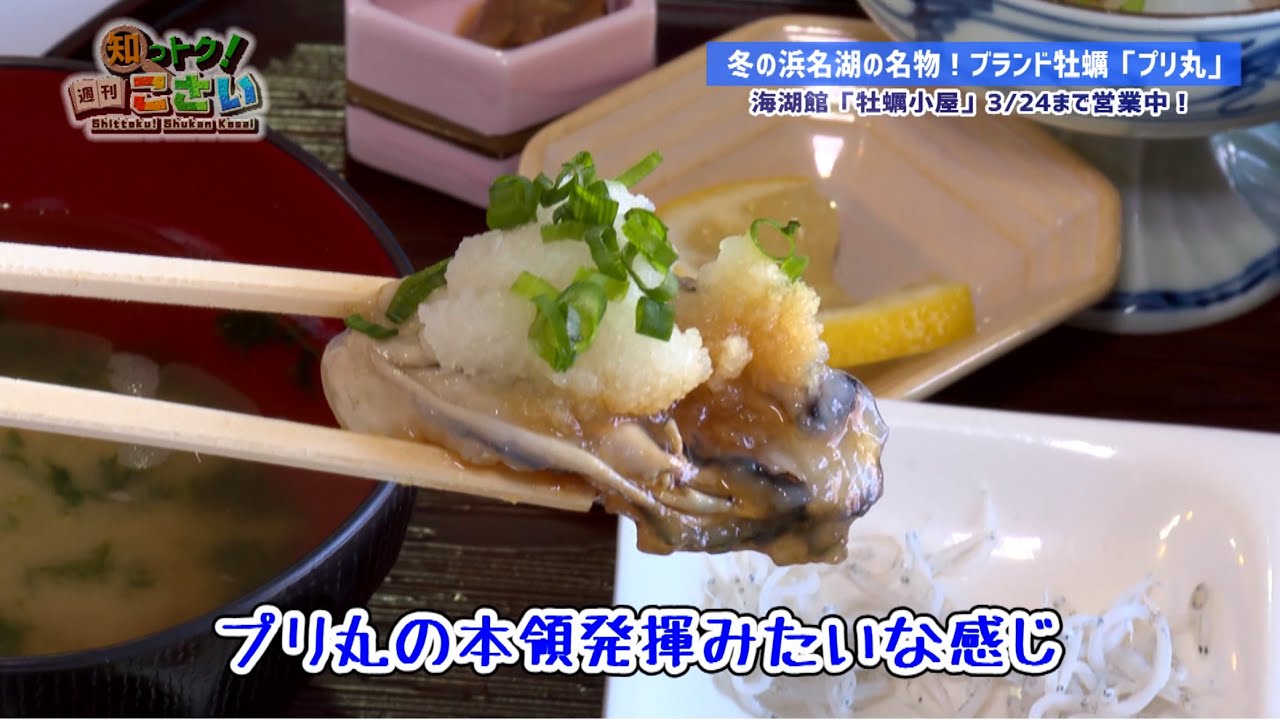 湖西市の情報が満載！「知っトク！週刊こさい」（2024年2月12日号）