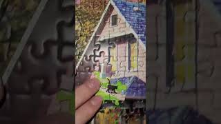 The Last Piece 🐈‍⬛Lighthouse Puzzle #jigsawpuzzle #puzzle #educa #thelastpieceofthepuzzle