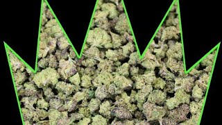 ONE ZIP OF GLITTER BOMB EXOTICS from THCA KING