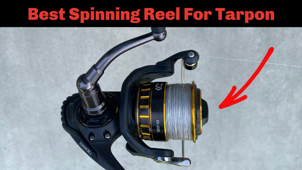 The Best Affordable Spinning Reel For Big Tarpon And Sharks