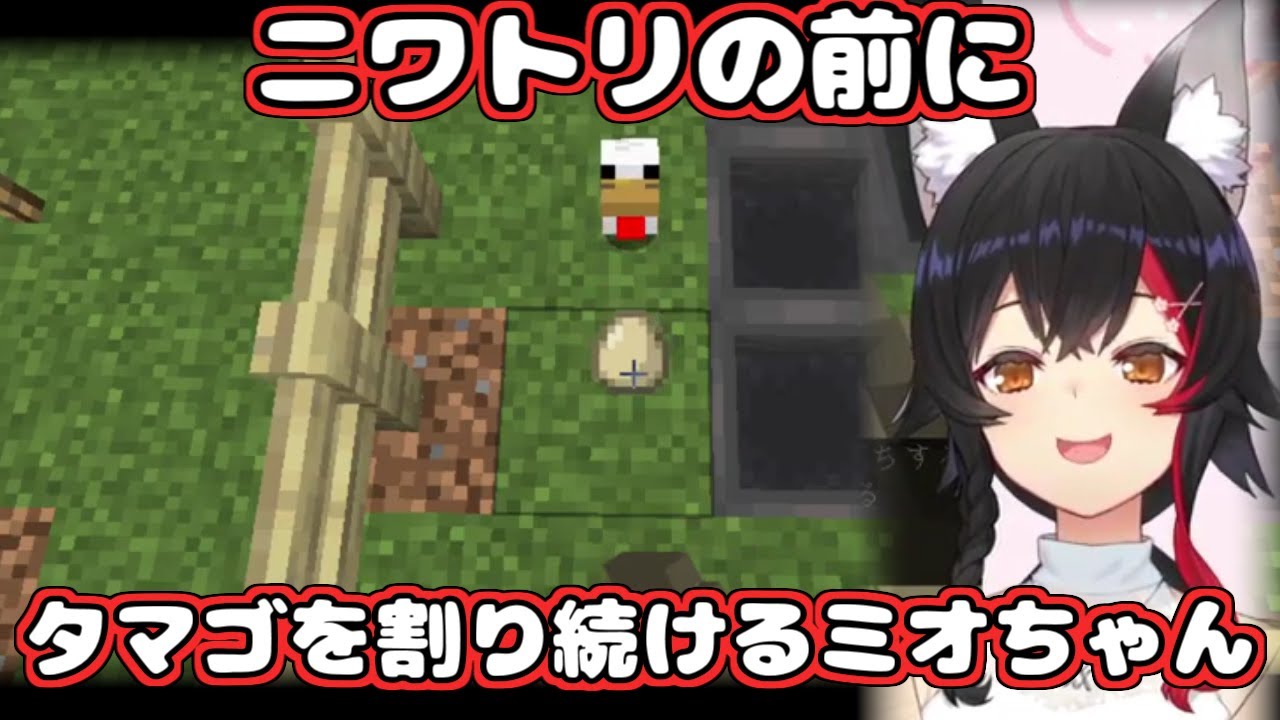 【ホロライブ切り抜き】ニワトリの前にタマゴを割り続けるミオちゃん【大神ミオ】